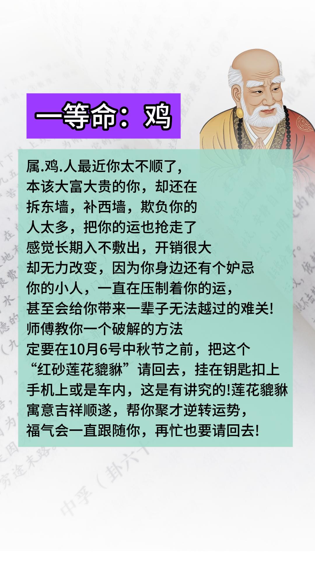 #鸡 #属鸡 #生肖鸡