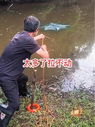 #逮鱼摸虾 #水产养殖 #农村生活