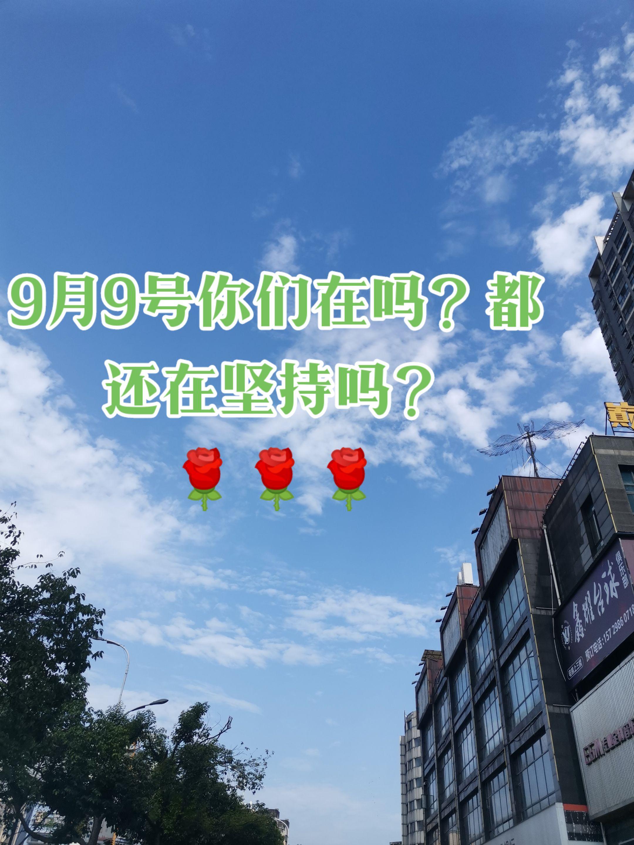 何以安心,唯有正义!#瑶姑娘