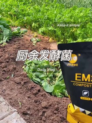 #有机肥 #发酵剂 #堆肥菌菌种 #堆肥菌 #园艺肥料