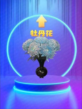 #云南鲜花 想让家里看起来更有生机吗?那就试试这个青花瓷吸色牡丹菊吧,它不仅好看,还特别适合放在客厅里,让你的家变得更加温馨#鲜花