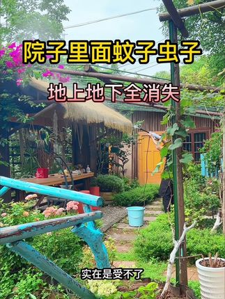 院子里面蚊虫太多,那就用#氯氟氰菊酯 兑水喷,它不但价格便宜又好用,对植物还没任何伤害#防虫小妙招 #除虫小妙招 #这个夏天再也不怕蚊子了