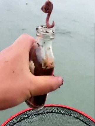 #钓鱼#我的钓鱼日记