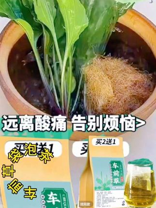 #车前草袋泡茶#抖音好物推荐#好物推荐🔥