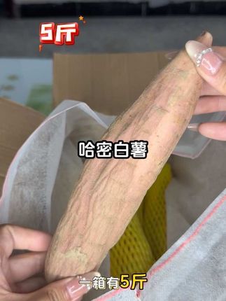 可惜你不是安徽人,不知道我们从小喝到大的 稀饭有多好喝#哈密白薯 #软糯香甜 #妈呀太香了 #强烈推荐 👍🏻