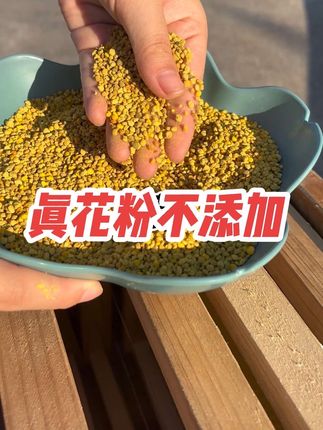 真花粉喂蜂补足氨基酸、蛋白质、维生素等,繁蜂壮群新鲜油菜粉,蜜蜂都爱吃#喂蜂花粉 #喂蜂饲料 #繁蜂口粮 #繁蜂花粉 #蜂粮