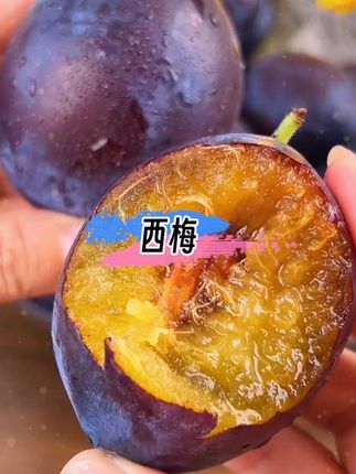 一年一季的大西梅又上市了!#农村生活 #新鲜应季水果 #新鲜采摘#三农 #吃货