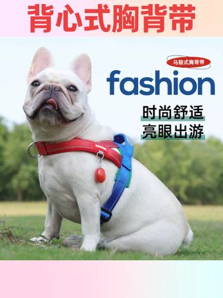 #养狗人 背心式胸背带狗狗牵引绳中小型犬狗链防爆冲柴犬法斗反光遛狗绳#养狗人 #宠物用品 #养狗经验分享 #国庆节好物