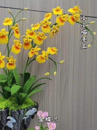 金蝶兰来了#手工 #非遗 #毛线钩织