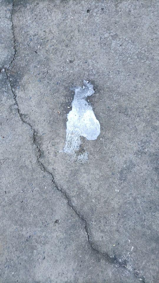 家人们大家不要买他们家的东西了,都是套路粉丝们的。一点效果都没有。我买了他们家的肠道药。喂了十多天了。一点变化都没有。#我在抖音买买买
