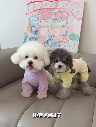 无骨缝制的德绒四脚衣更加亲肤舒适了!价格还便宜赶紧买一件试试!#狗狗四脚衣服#宠物保暖衣服#狗狗衣服#宠物衣服#宠物四脚衣