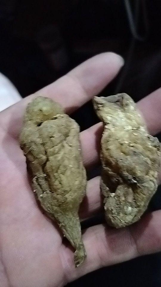 三无假冒产品,家人们,朋友们,最好不要买假的差差差差差差 差差没有味道是野生洋姜#我在抖音买买买