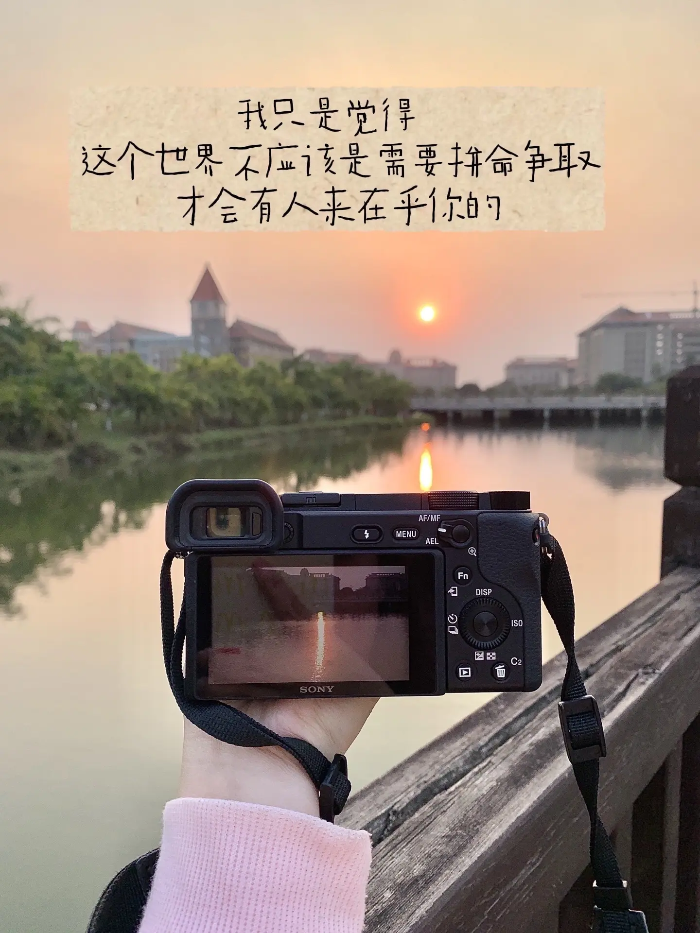 树 懵懂的发芽 人 流着泪长大 - 抖音