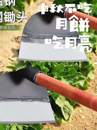 #锄头#除草#挖地 我们用上了特别锋利的钢做出来的除草锄,除草相当的轻松省力