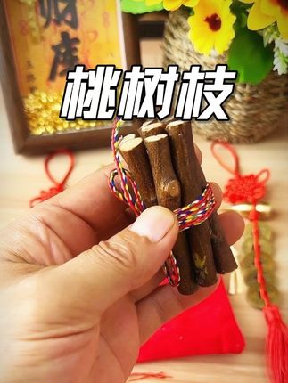 桃木枝东南老桃树#桃木枝 #桃树枝 #五色线寓意