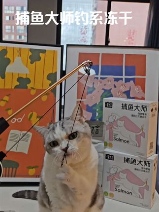 又能吃冻干还能当逗猫棒钓起胖馋猫,#一家之言#捕鱼大师逗猫#猫咪玩具#新手养猫#养猫新手 #萌宠出道计划