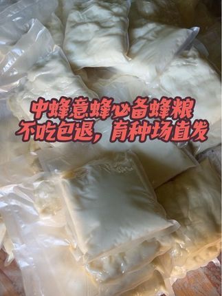 #蜜蜂养殖#三农养殖#养蜂技术分享#养蜂教学