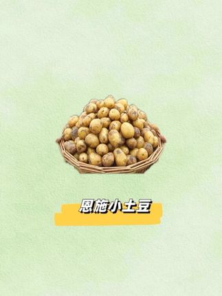 这个恩施小土豆太好吃了,吃过一次,真的回不去菜市场的大土豆了。#土豆 #恩施小土豆 #恩施小土豆新鲜黄心土豆
