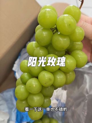 #应季水果 #快来一起尝个鲜 #优质农产品 #阳光玫瑰