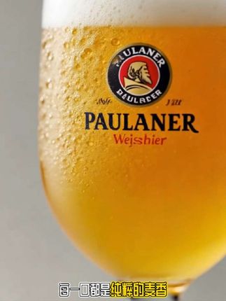 一口畅饮德国风味!Paulaner 330ml听装柏龙啤酒,原装进口的精酿典范。遵循巴伐利亚纯净酿酒法,只用麦芽、啤酒花、水和酵母,保留最纯粹的麦香。泡沫丰富绵密,口感醇厚,带着淡淡的果香与麦芽甜味。无论是欢聚派对还是独自小酌,它都是绝佳伴侣,带你品味正宗德国风情。,#好酒推荐 #啤酒 #德国啤酒 #德国啤酒节