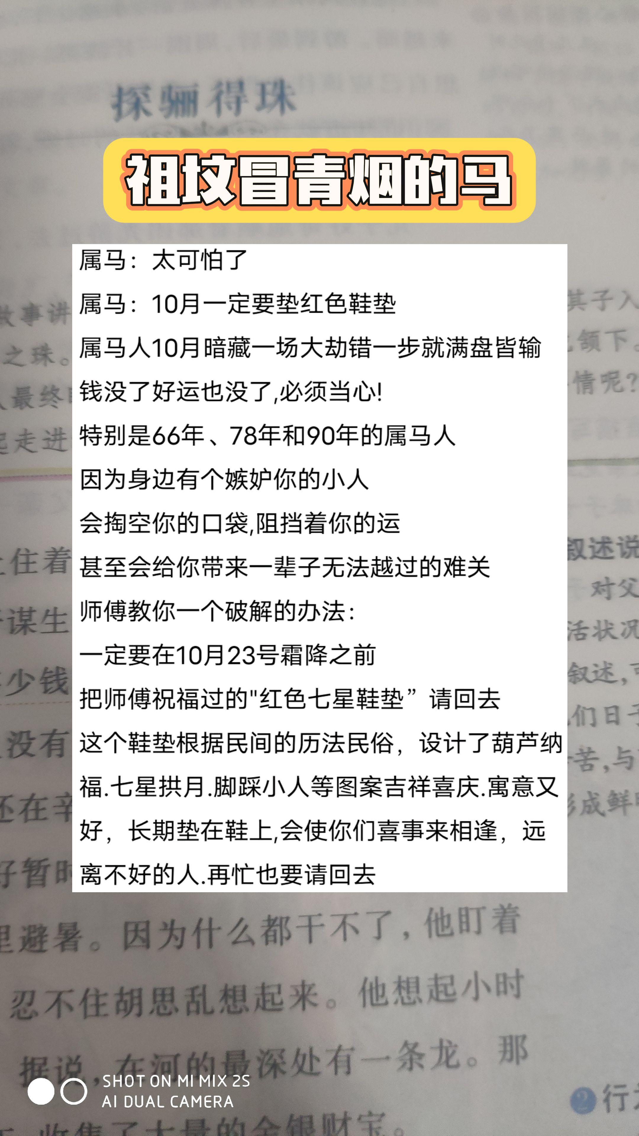 #马 #属马 #生肖马