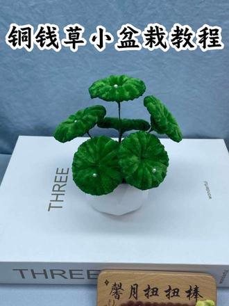 扭扭棒铜钱草小盆栽教程!#手工diy #创意手工 #手工教程 #扭扭棒的100种玩法 ##手工编织零基础教学