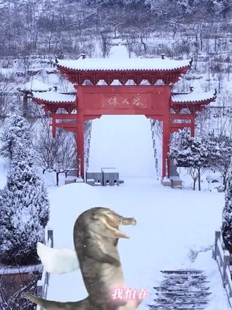 注意看鳄鱼咬住小象的鼻子!下一秒就被象妈甩飞了出去 #这里是郑州大熊山 #抽象 #搞笑视频