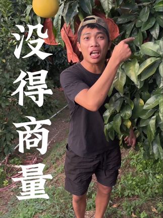 这。。。#我的乡村生活 #新农人
