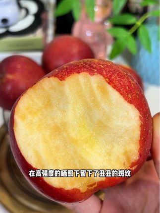 一年只能吃一季的云南昭通苹果,新鲜采摘,纯甜无酸脆嫩多汁#新鲜苹果 #昭通苹果 #云南昭通苹果