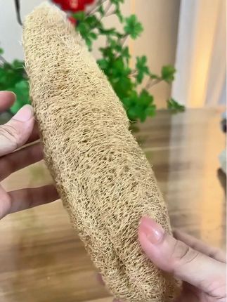 #洗碗丝瓜络#洗碗布#丝瓜络#家用好物#生活好帮手