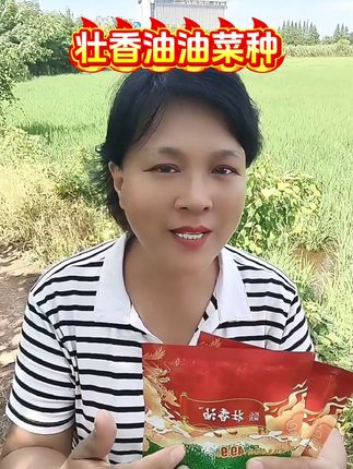#高产油菜种子 #壮香油#油菜种植#油菜种子#油菜籽