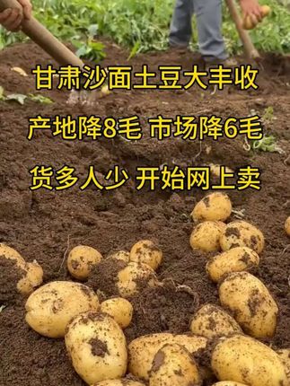 #沙面土豆 #甘肃土豆#优质农产品 #快来一起尝个鲜