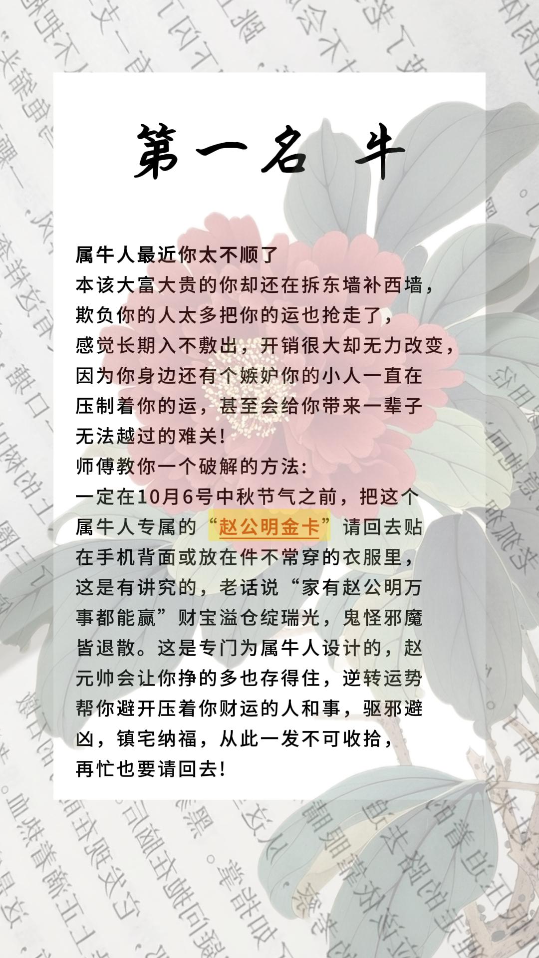 #牛#属牛#生肖牛