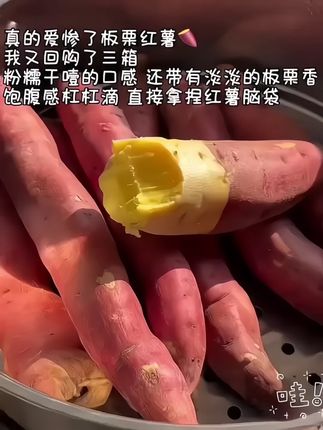 谁懂这口板栗红薯的含金量!干面粉糯!!超超超喜欢这种又干又噎还没有丝的红薯#板栗红薯 #粉糯香甜 #早餐吃什么 #粗粮主食 #优质农产品