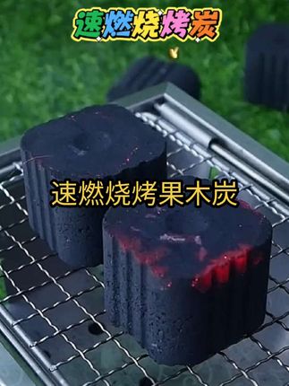 速燃烧烤无烟果木炭#速燃炭 #烧烤炭 #果木炭 #户外露营 #户外烧烤