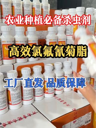 高效氯氟氰菊酯,一瓶500克,兑水500斤,2瓶盖兑水30斤,厂家直销,一瓶一码,三证齐全、正品保证。瓜果,蔬菜、花卉,绿植,大田作物,玉米,花生,水稻只要有虫害都可以用。 需要的家人们点开小黄车,赶紧带走用起来吧#三农#农业技术#高效氯氟氰菊脂#杀虫剂#病虫害防治