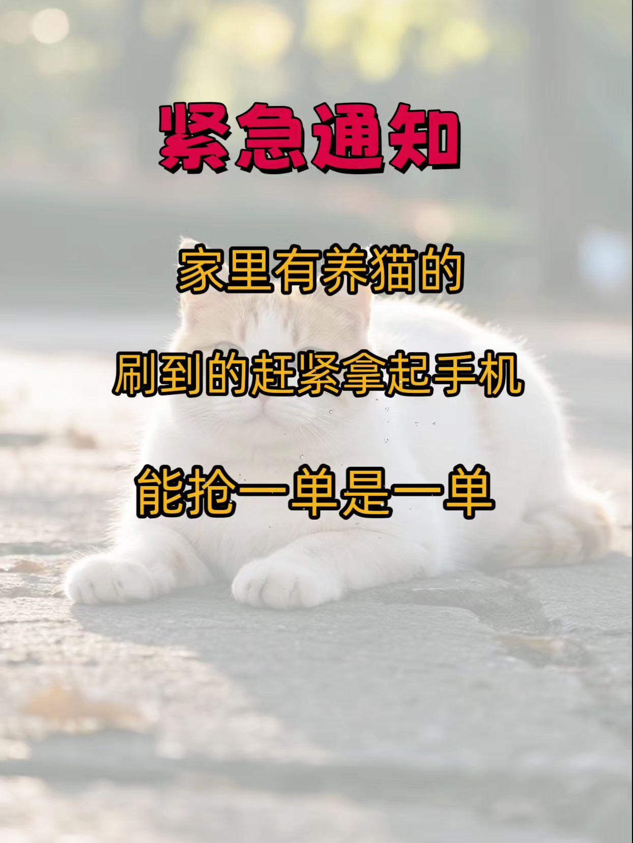 #弗列加特#猫粮 #冻干猫粮#养猫好物#好物推荐