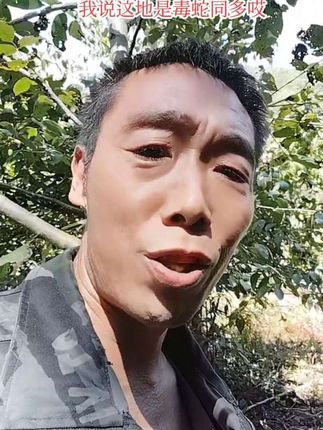 短尾蝮蛇…… 七寸蛇的学名是中介蝮,属于蝰科亚洲蝮属的爬行动物,也被称为七寸子、麻布袋、麻七寸、地扁蛇等。它是一种剧毒蛇,主要分布在中国的山西、内蒙古、陕西、甘肃、青海、宁夏、新疆等地。中介蝮的体型中等偏小,成年个体通常体长约0.5米,头部呈三角形,与颈部区分明显,背面砂黄色,具两行深褐色圆斑,眼后有一条粗大的黑褐色眉纹,上缘镶细白边。短尾蝮蛇也被称为七寸蛇。#总要去趟栾川吧#行走山水间##记录真实生活 #短尾蝮 #远离城市的喧嚣