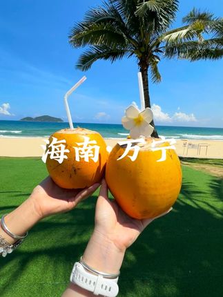国庆错峰出游第一站:和朋友去趟海南万宁!吃明星常打卡的椰子鸡火锅 #海南美食 #万宁旅游攻略 #万宁美食 #嗲嗲的椰子鸡 #同城美食