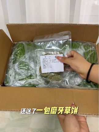 兔子龙猫荷兰猪都可以吃的燕麦草开箱喽,一打开那草香绝了,绿油油的跟卖家说的一模一样。这可是兔宝的辅草王者,好吃还高蛋白。 一箱能吃超久,快给你家兔宝安排上这份美味!#萌宠 #宠物萌宠 #兔子 #燕麦草 #养兔人