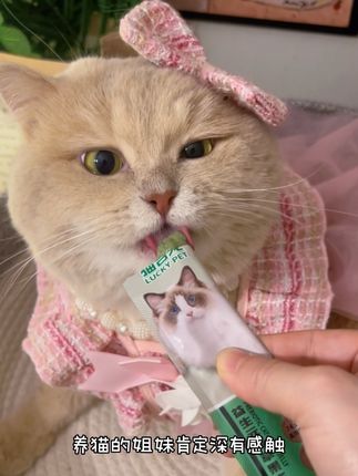 宠物用品赛道文案素材 - 猫吉宠的猫草果冻 属于养猫家庭的刚需好物 遇到周年庆大促价格划算就可以多备一些!#养宠好物分享 #养猫省钱妙招 #猫咪种草好物 #猫咪排毛 #猫吉宠 - 奶油家族大本营作品