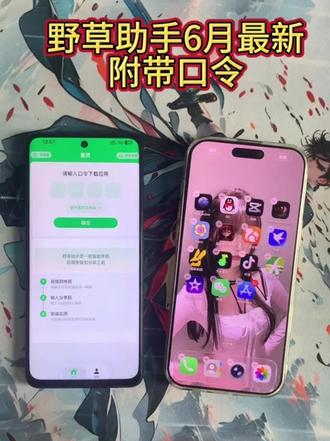 《天花板宝库》最近全网都在找的野草助手TV最新版附带口令以及分享码教程来啦 #野草助手口令 #野草助手怎么下载 #野草助手最新口令直播#野草助手最新组合码 #野草助手如何下载安装