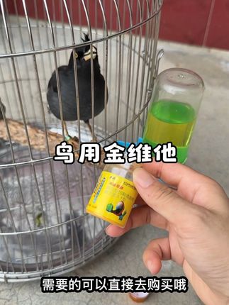 #好物分享#鸟用36种金维他 #鸟用金维他 #养鸟必备 #鸟用品