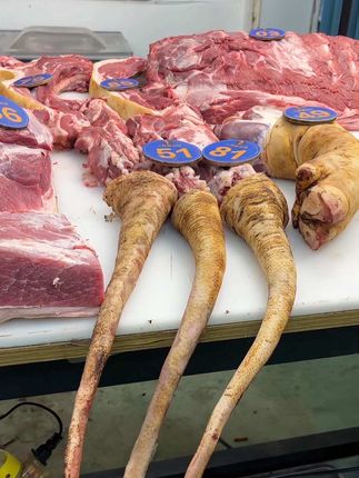 冬吃萝卜夏吃姜,不如来碗猪尾巴汤。 快给家里的男士们安排起来!#猪肉 #跑山猪 #二代跑山猪 #猪尾巴