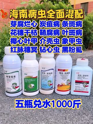 5瓶混配兑水1千斤喷雾 #槟榔#槟榔树#槟榔种植#海南#病虫害防治