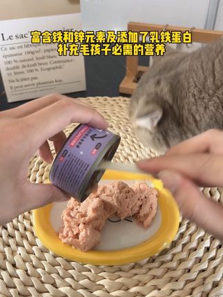 浅宠主食罐富含毛孩子必需营养,刷到的宝子们赶紧囤!#浅宠 #猫咪主食罐 #猫罐头