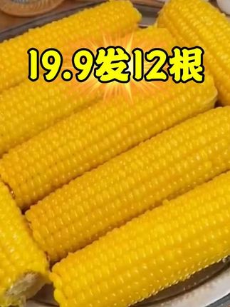 这个#东北黄糯玉米 又软又糯又香,我一天吃三餐都不吃不够#糯玉米 #玉米 #粗粮 #东北粘玉米
