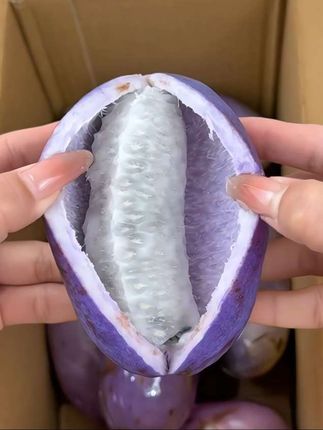 姐妹们,我发现了一个巨好吃的宝藏水果,就是这个来自贵州的八月瓜,真的爆甜爆好吃。果肉是软软糯糯的,有着淡淡的奶香味,真的超好吃。它这个种子是可以直接吞下去的,还有很高的营养价值。缺点就是一年只能吃两三个月。商家说它这种皮千万不要浪费,它可以晒干的泡水喝,比用那昂贵的化妆品强多了,没吃过的,一定要试试。