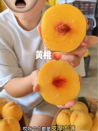 #黄桃 #桃子 #桃子熟了 #新鲜应季水果 #现摘现发新鲜到家