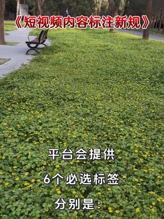 以后短视频不能随便发了,所有短视频必须添加自主声明,之前发过的也会逐一排查….#短视频#网信办 #清朗行动 #中央网信办规范短视频内容标注